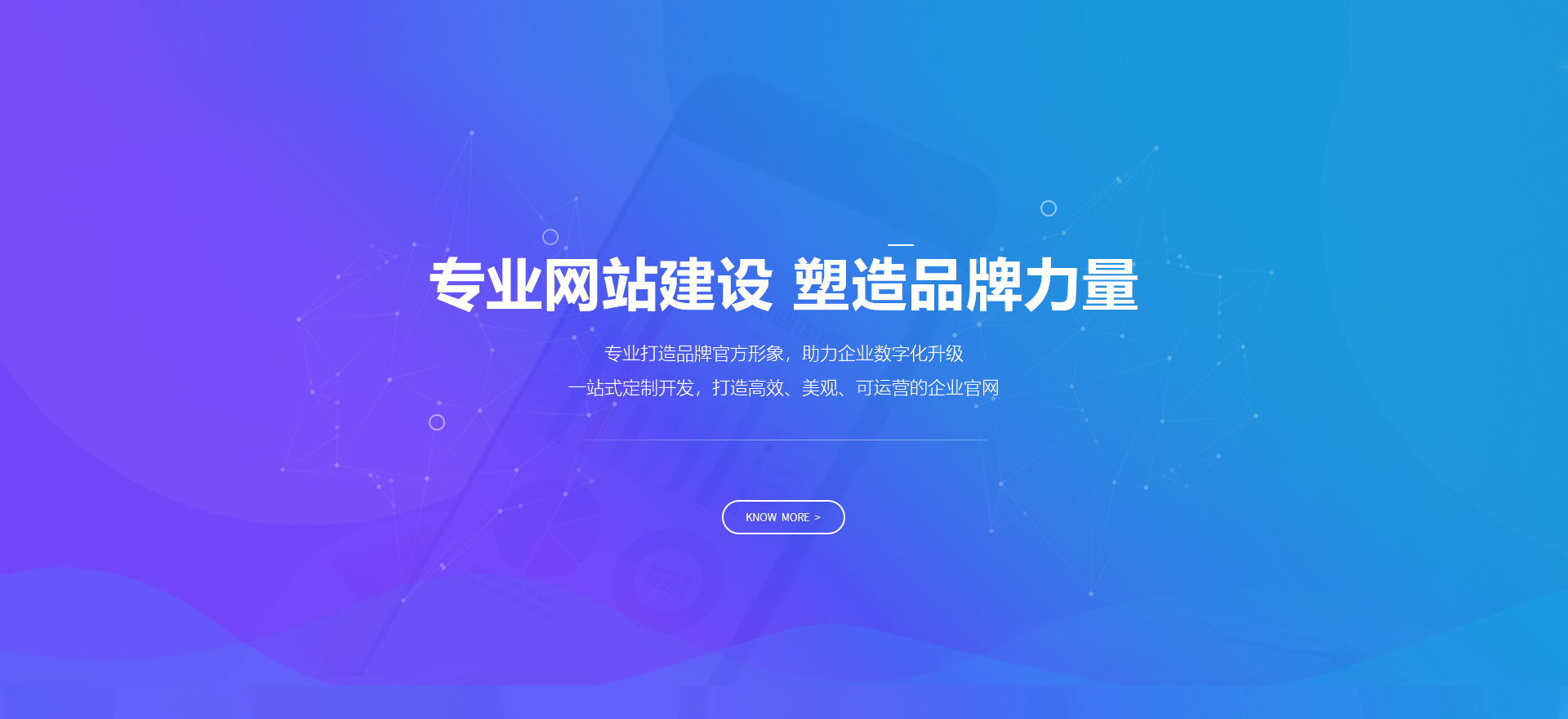雅安建站-专业网站建设 塑造品牌力量