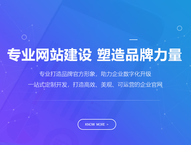 雅安建站-专业网站建设 塑造品牌力量